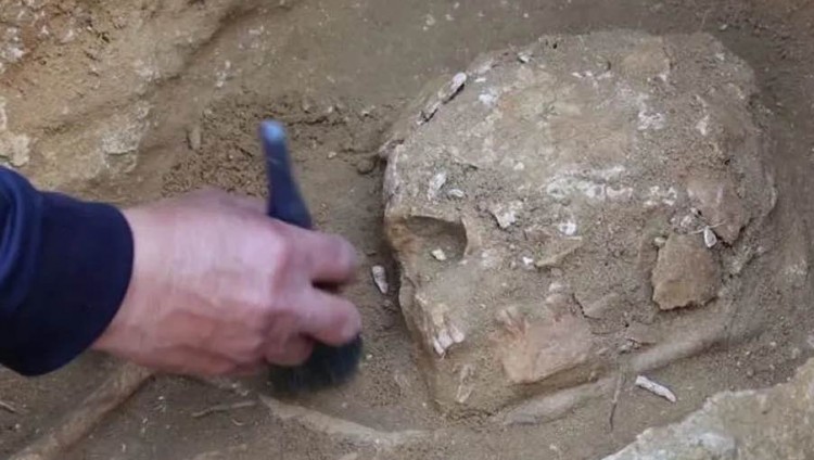 Археологи обнаружили саркофаг римской эпохи в секторе Газа