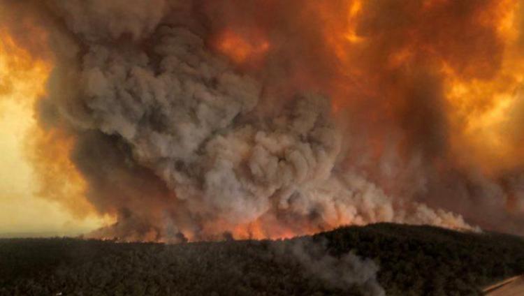 Лесные пожары разбушевались на холмах возле Иерусалима, власти подозревают поджог