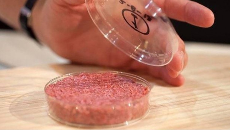 Израильский стартап Future Meat впервые произвел «баранину из пробирки»