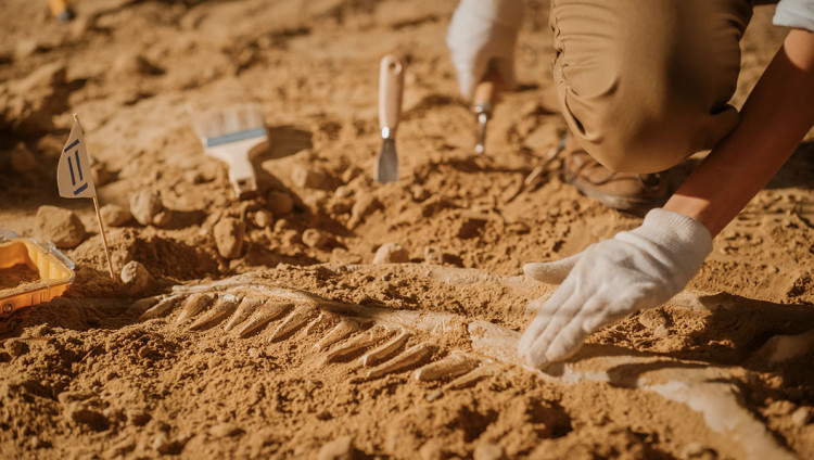 В Иерусалиме археологи раскопали здание, разрушенное во время вавилонской осады