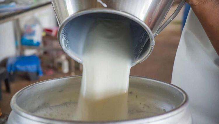 Компания «Тнува» выделит средства на восстановление молочных ферм в приграничных с сектором Газа районах
