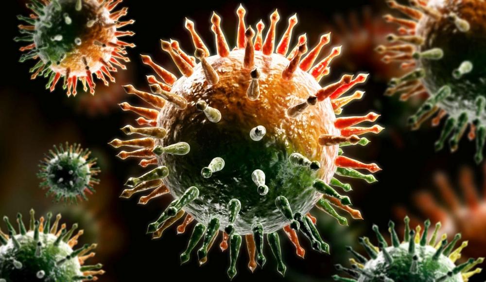 Израильские ученые назвали фактор, повышающий смертность от коронавируса