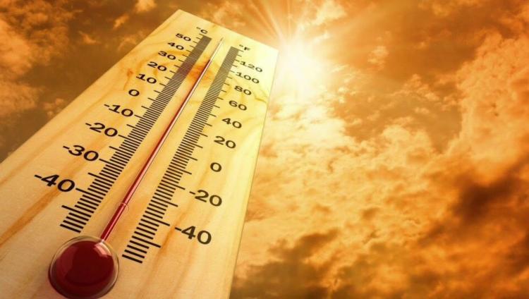 Министерство здравоохранения Израиля предупреждает об экстремальной жаре