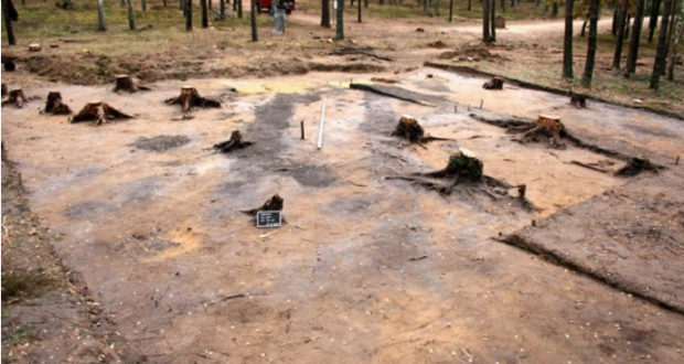 Польские археологи обнаружили газовые камеры