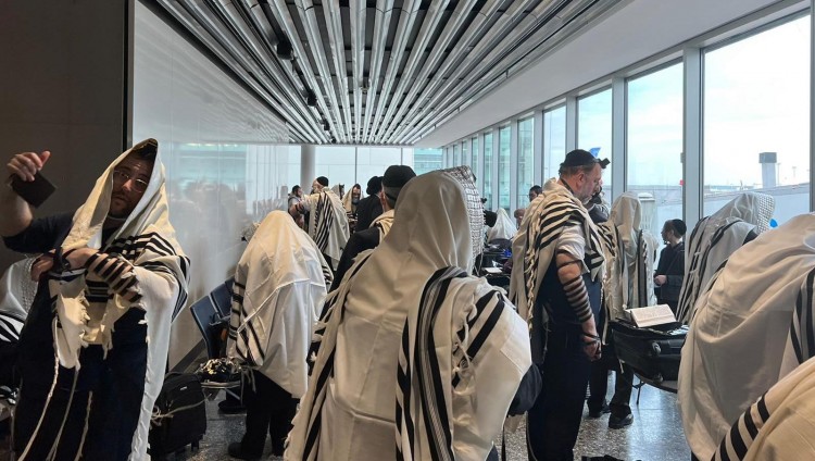 Lufthansa попала в антисемитский скандал: более 100 харедим не пустили на борт