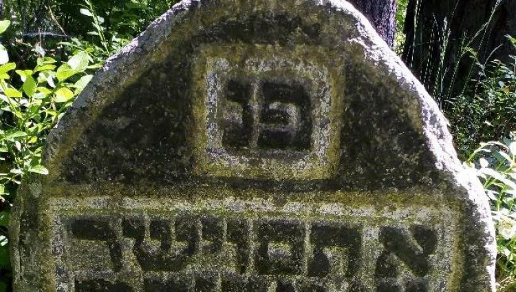 В Луге обнаружено заброшенное еврейское кладбище