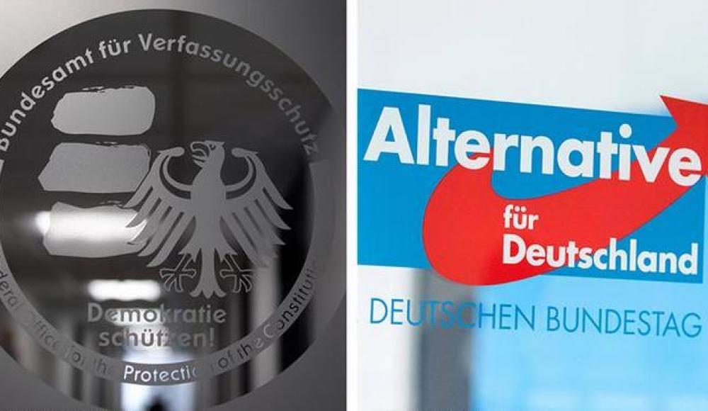 Спецслужбы ФРГ заподозрили партию «Альтернатива для Германии» в правом экстремизме