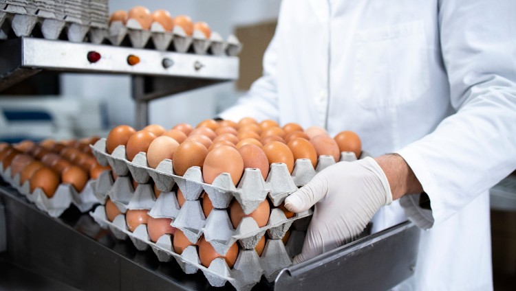 В Израиле вырастут цены на яйца