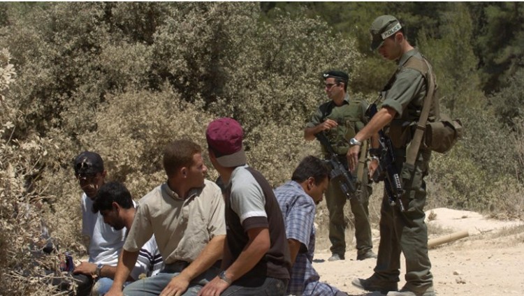 ЦАХАЛ сформирует специальную бригаду по  борьбе с палестинскими нелегалами