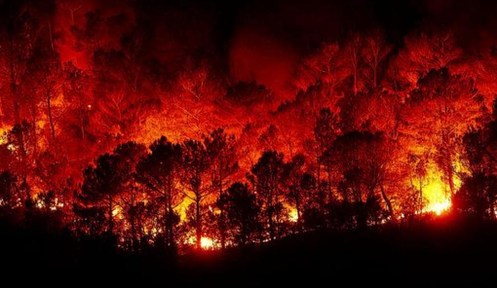 Огненный ад в Греции: Израиль поможет стране в тушении пожаров
