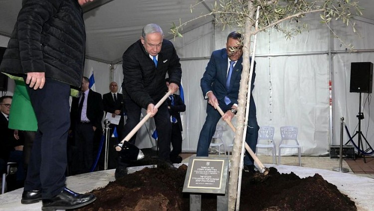 Нетаньяху посадил дерево в Иерусалиме в память о жертвах теракта у синагоги
