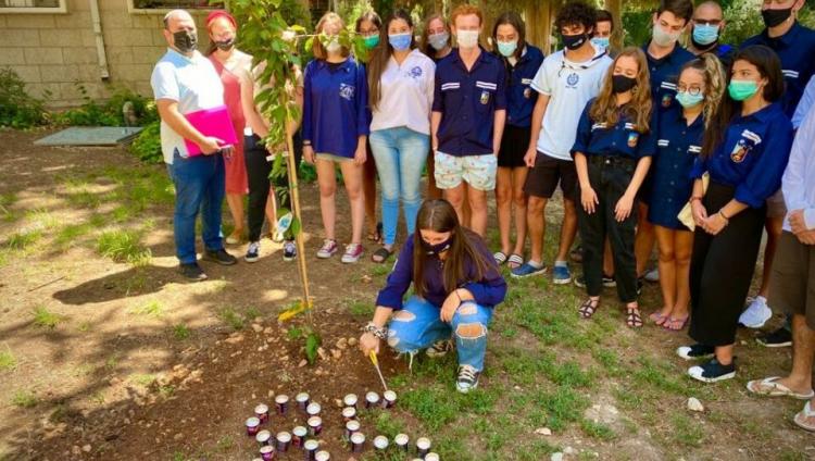 Будущие эмиссары «Сохнута» посадили в Иерусалиме дерево в память о жертвах теракта в AMIA