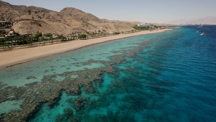 Отчет ученых: коралловый риф в Эйлатском заливе постепенно исчезает