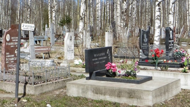 Оцифрованы данные о еврейских захоронениях на Южном кладбище Петербурга