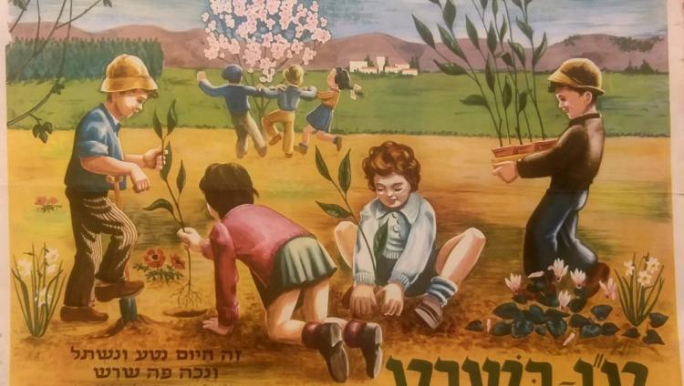 Как Израиль придал новый смысл празднику Ту би-Шват