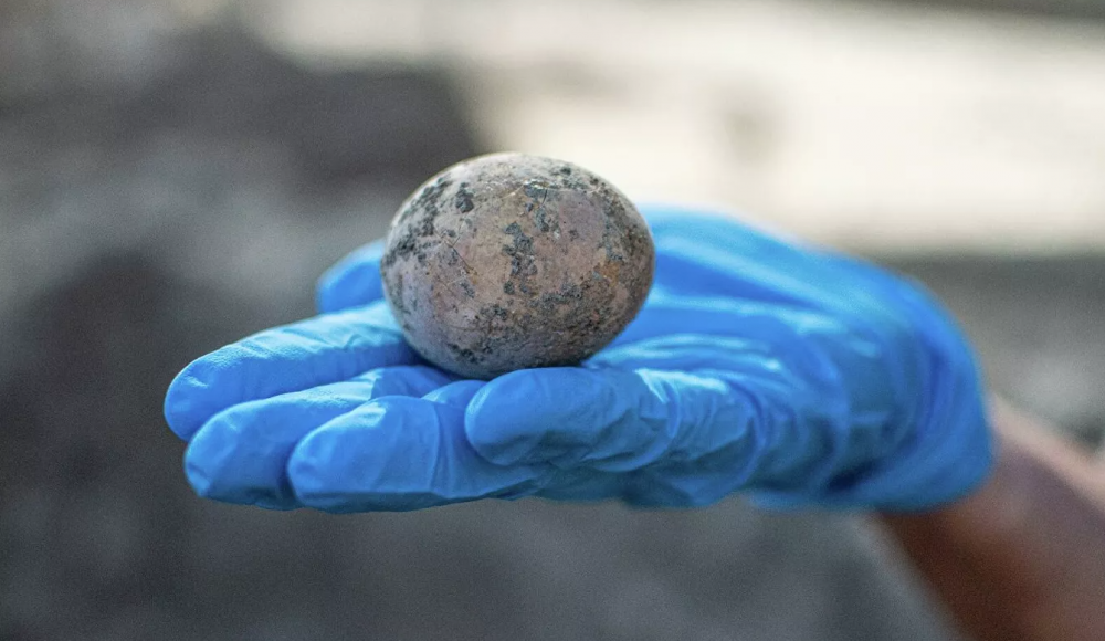 В Израиле нашли тысячелетнее куриное яйцо