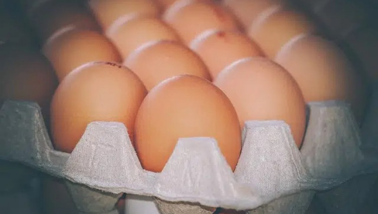 В Израиле ожидается дефицит яиц — главный производитель прекратил поставки