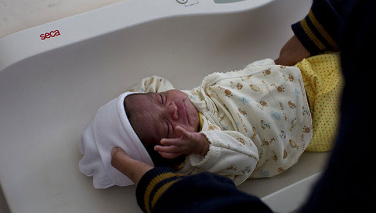 Израильские исследователи установили связь между загрязнением воздуха и низким весом новорожденных
