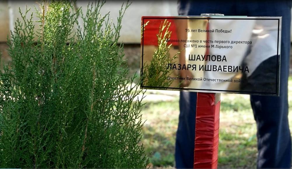 Акция «Дерево памяти» к 75-летию Великой Победы прошла в Хасавюрте 