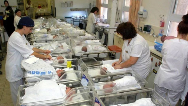 В больнице «Шаарей Цедек» в Иерусалиме родились семь пар близнецов за 24 часа