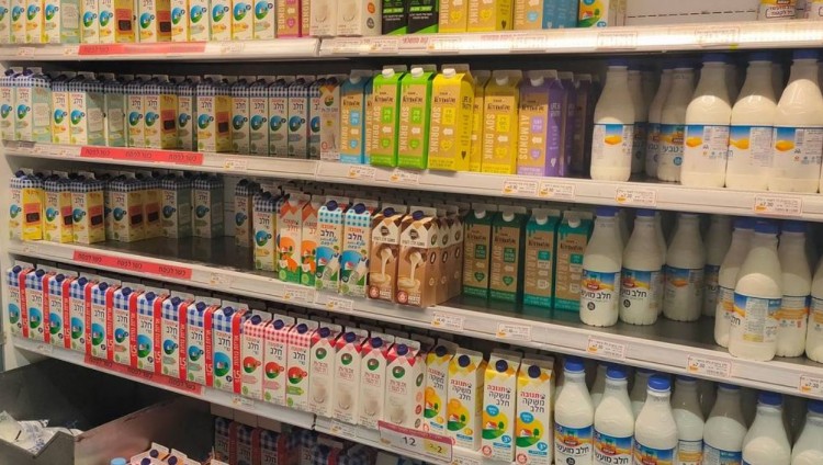 Стоимость жизни в Израиле продолжает расти: резко дорожают молоко и сыр