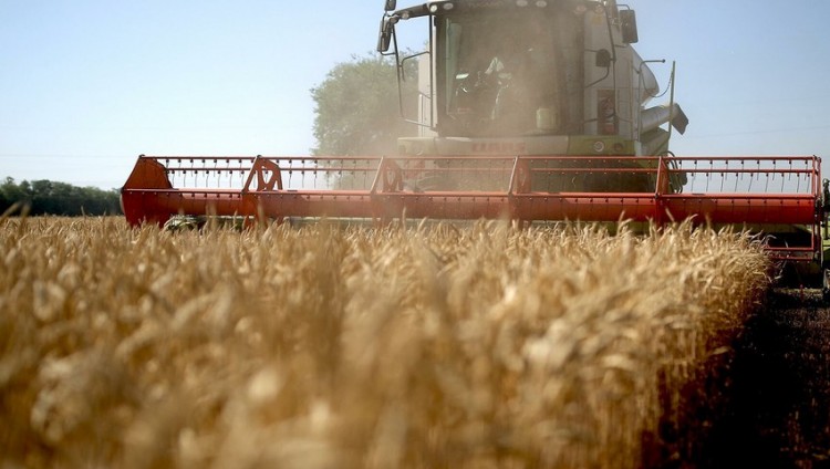 Израиль предоставит Азербайджану технологии для выращивания зерна