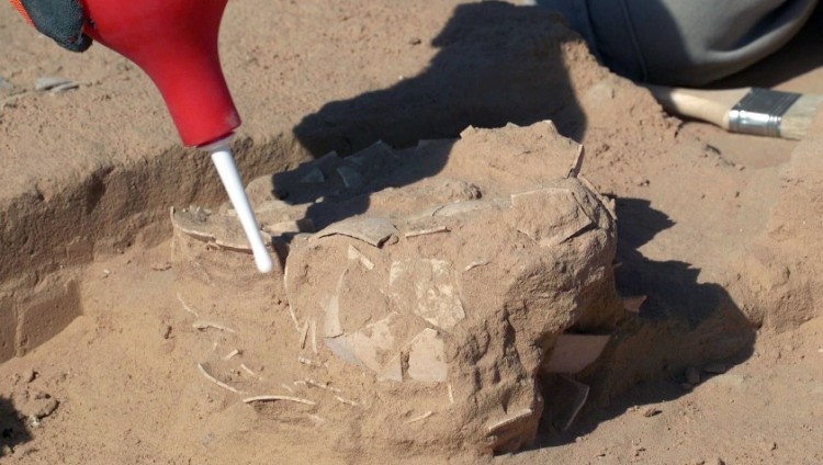 Израильские археологи обнаружили «доисторический омлет» из страусиных яиц
