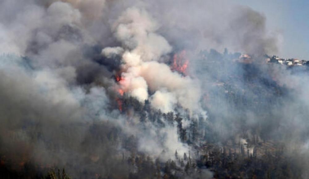 Израиль запросил у Греции и Кипра помощь в тушении лесных пожаров