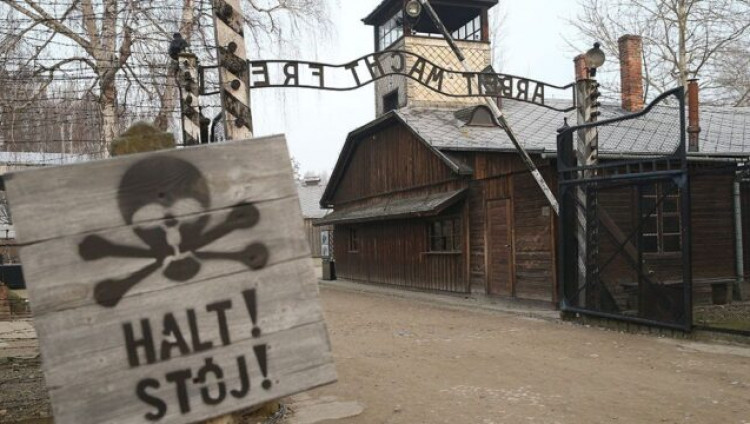 Жителю Магадана грозит до 5 лет за отрицание Холокоста в соцсетях