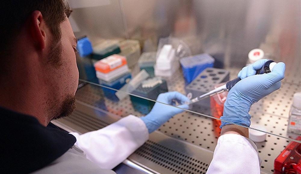 Израильские ученые нашли альтернативу антибиотикам при туберкулезе