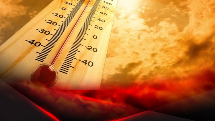 В Израиле ожидается сильнейшая жара с высокой влажностью: названы сроки