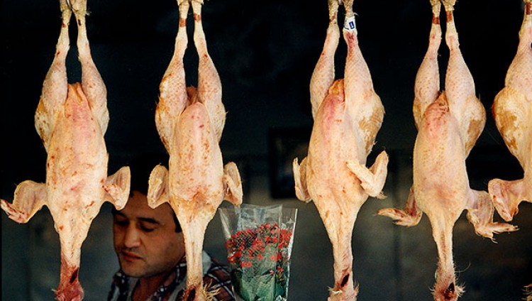 В Израиле ожидается дефицит мяса птицы