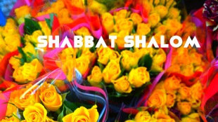 Рубрика Шабат Шалом: Краткие законы соблюдения субботы 10. Сеяние (зорэа)
