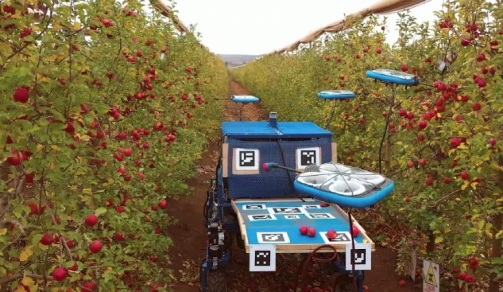 В Израиле создали систему автономных дронов для сбора садовых фруктов