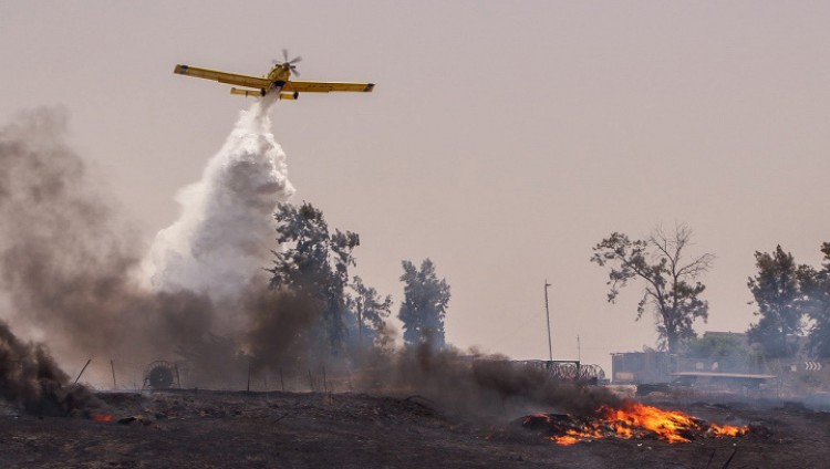 Израиль помогает Кипру в борьбе с лесными пожарами