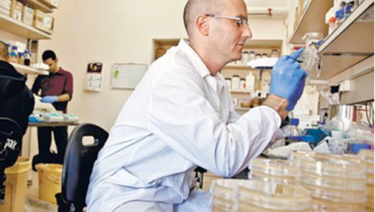 Израильские ученые нашли способ преодолеть сопротивление бактерий антибиотикам