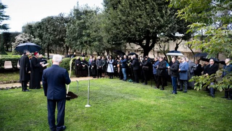 В Ватикане посадили яблоню в память о семье Ульмов, расстрелянной нацистами за спасение евреев