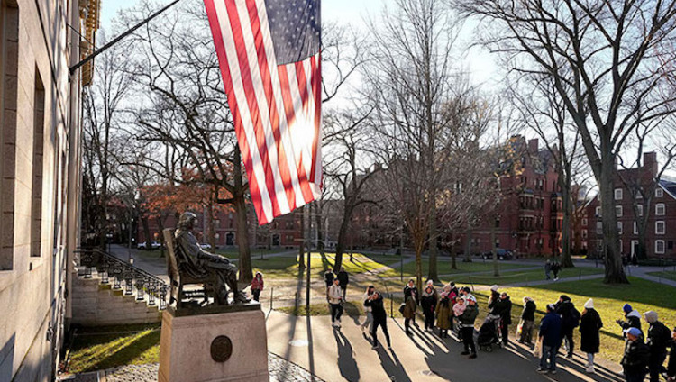 Выпускники Гарварда подали в суд против вуза за игнорирование антисемитизма и поддержку террора