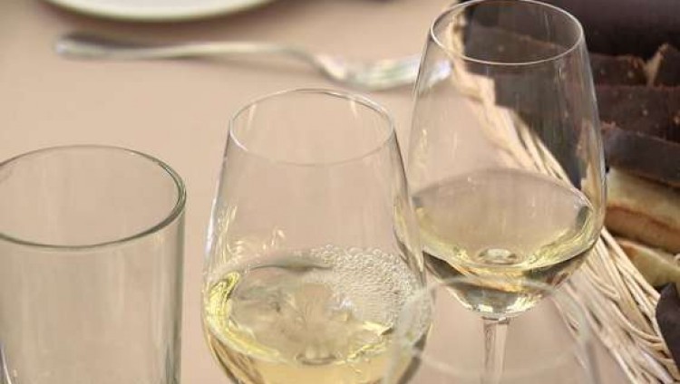 30 российских вин получили медали на международном конкурсе Terravino-2022 в Израиле