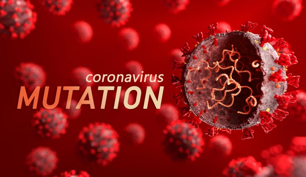 Израильская мутация коронавируса: что это и почему так беспокоит медиков