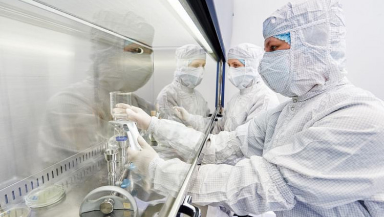 Израильские ученые вырастили первый в мире двухнедельный человеческий эмбрион из клеток кожи