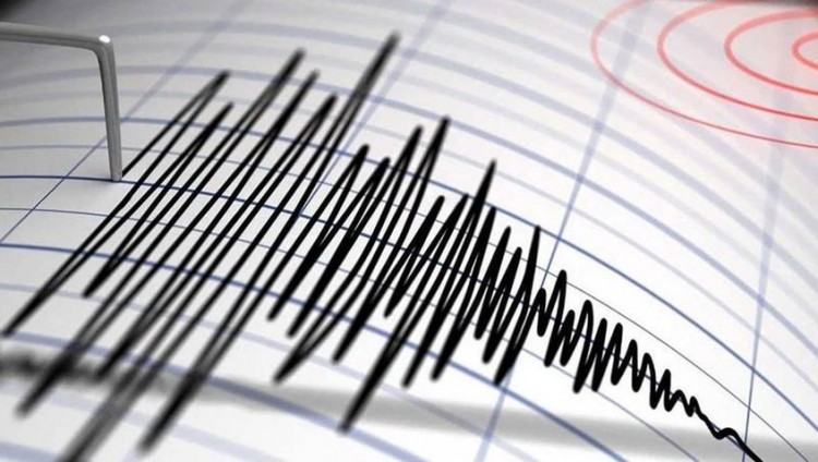 Землетрясение в Израиле магнитудой 3.5 баллов: его ощутили жители центра и севера страны