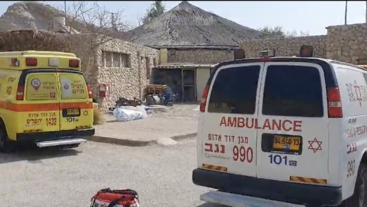 В результате оползня в национальном парке Эйн-Геди пострадали 9 человек, погиб 5-летний мальчик