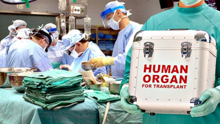 В Израиле за 2022 год провели рекордное количество трансплантаций органов