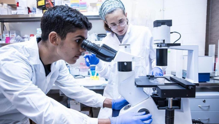 Израильская компания разработала инновационный метод лечения рака последних стадий