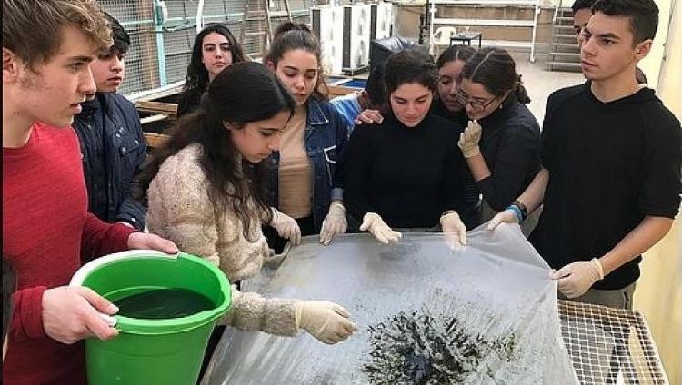 Реформа образования в Израиле резко увеличит полномочия директоров школ