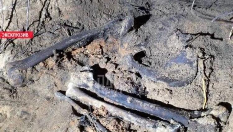 В Псковской области нашли захоронение расстрелянных в годы войны евреев
