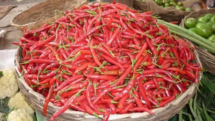 Red hot: ген, который позволяет есть огромное количество перца чили, обнаружен в Израиле