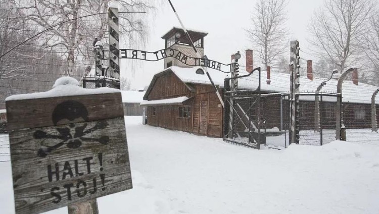 Музей Победы откроет онлайн-выставку об Освенциме