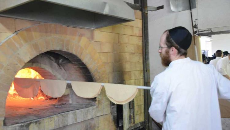 В израильских мацепекарнях выловлены десятки официальных безработных